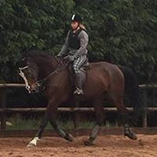 Gina Johnson's photo