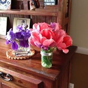 Kathleen Smith's photo
