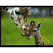 Jacquie Gogan's photo