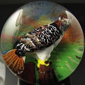 Beth Knapp-Tyner's photo