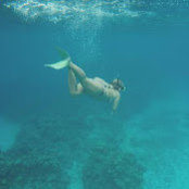 Eileen Dabrowski's photo