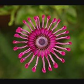 Beni Barfield's photo