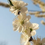 Sensen Xixi's photo