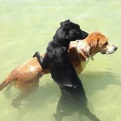 Lauri Lueth's photo
