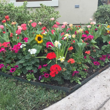 Gardens & Garden Paths