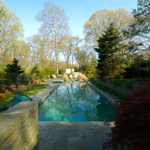 contemporary backyard pool