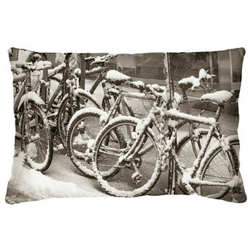 Snow Messenger Pillow from the Winter Park Collection by Joe Ginsberg