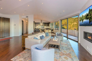Example of a minimalist living room design in Los Angeles