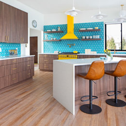 https://www.houzz.com/photos/fenton-midcentury-modern-inspired-new-build-home-midcentury-kitchen-detroit-phvw-vp~179392915