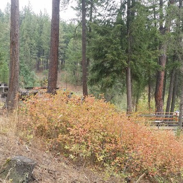 Girl Scouts of America - Four Echoes Camp