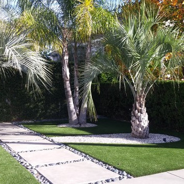 Recent Project