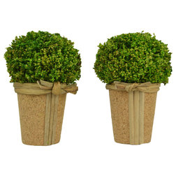 Farmhouse Artificial Plants And Trees by GALT