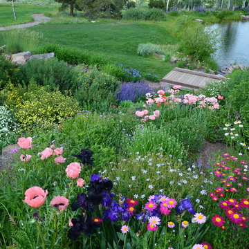 Design - Build Mountain Ranch Landscape in Summit County, CO
