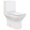 Carre One Piece Square Toilet Dual Flush 1.1/1.6 gpf, Matte White