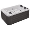 Riley 3 Person Hot Tub with Ozonator