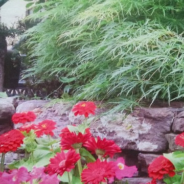 Heathers - Entrance Garden