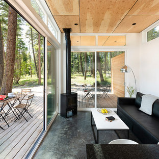 Ispirazione per un piccolo soggiorno stile rurale aperto con pareti bianche, pavimento in cemento, stufa a legna e pavimento grigio