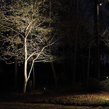 Lighting
