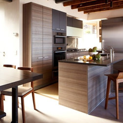 Contemporary Kitchen Cabinets - Products