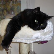 Cindy Butler's photo