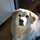 kelly_mitchell7656