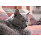 Jo Whitman's photo