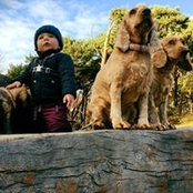 Sonya Henshaw's photo