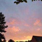 Matt's photo