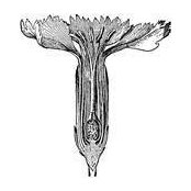 Michael Rollin's photo