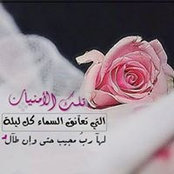 Foto von زهرة التوليب