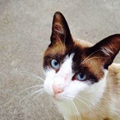 Rosalee Welling's photo
