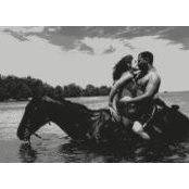 Carol Laniohan's photo