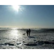 Camille Maloney's photo