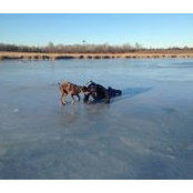 Tyler Lundquist's photo