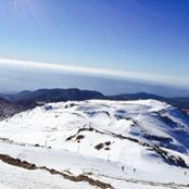 Foto von Abir Adawi
