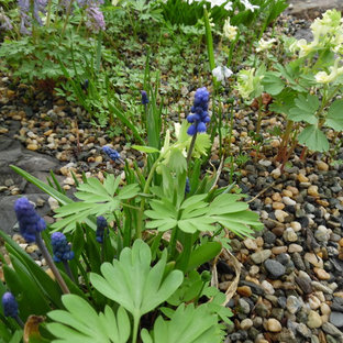 Kleines, Halbschattiges Stilmix Garten im Innenhof im Frühling mit Steindeko in Jekaterinburg