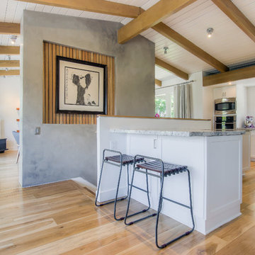 Woodland Hills Modern Kitchen and Living Room Remodel