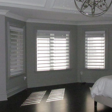 Hunter Douglas Pirouette Shadings