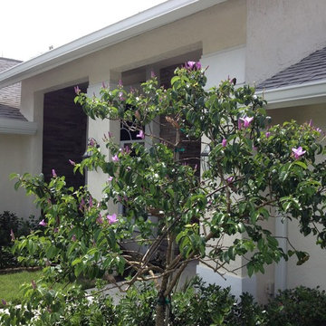 Flowering Trees