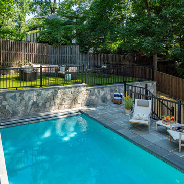 Stunning Backyard Oasis