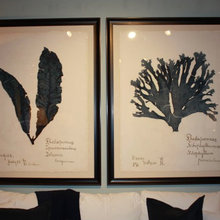 art display