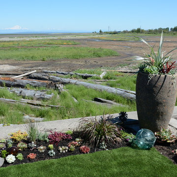 Contemporary Seaside Garden
