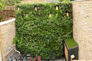Inspiration for a contemporary garden in London.