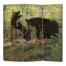 50 Most Popular Rustic Screens And Room Dividers For 2020 Houzz
