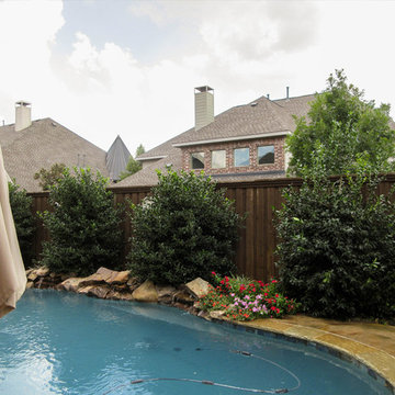 Poolside Landscapes