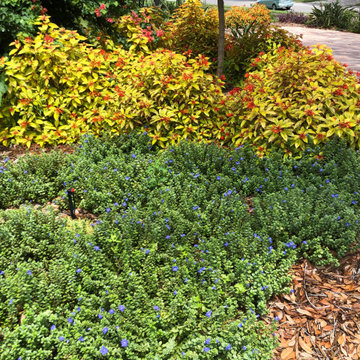 Transformed tennis court, fomerly unused front yard, now a gathering space.