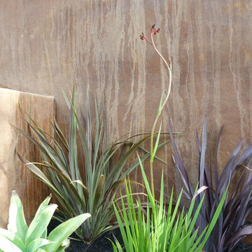 Belvedere Island Garden