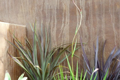 Inspiration for a contemporary landscaping in San Francisco.