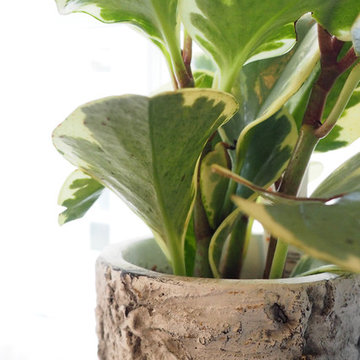 Newburyport, MA- Feng Shui and Interior Design