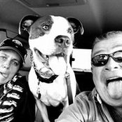 Stefan McConnell's photo
